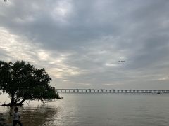 -宝安西湾红树林湿地公园