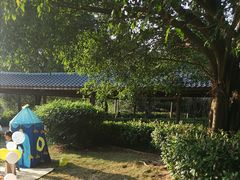 -金山公园