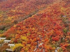 -狼牙山风景区