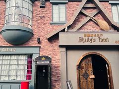 -雪灵魔法世界SHELLY’S TAROT(大良桂畔里店)