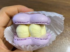 -好利来(交大店)