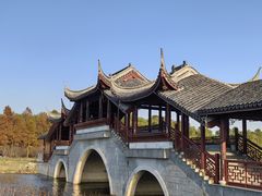 -上海海湾国家森林公园