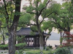 -杭州西湖柳莺里酒店