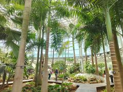 -石家庄市植物园