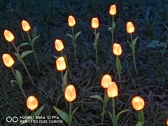 -苏沐堂全息足浴·SPA·按摩(万科美好广场店)