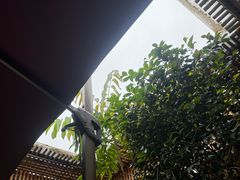 -凤翔首邑温泉度假村