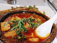 麻婆豆腐-夫妻肺片·中华老字号·正宗川菜(春熙路店)