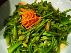 清炒水性杨花-老滇山寨•云南特色菜•地方菜•民族风情歌舞表演(金碧店)