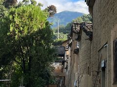 -杨家堂村