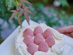 -壹点壹客·生日蛋糕(南山店)