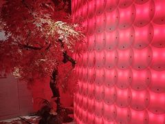 -东吴水韵(吴中店)