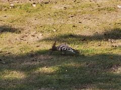 -同济大学(嘉定校区)