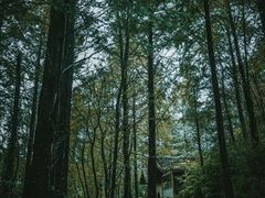 -山王坪喀斯特国家生态公园