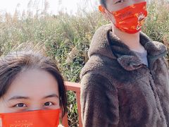-芒洲湿地公园