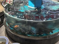 -魏铭鱼头捞饭(晋阳路店)