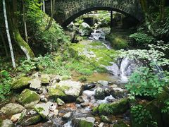 -藏龙百瀑风景区