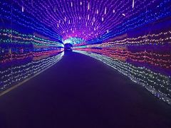 -龙口南山旅游景区