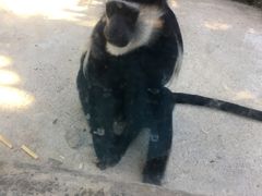 -泉州海丝野生动物世界