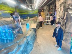 -正佳雨林生态植物园