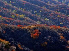 -北京西山国家森林公园