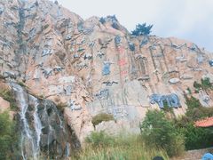 -西霞口神雕山野生动物世界