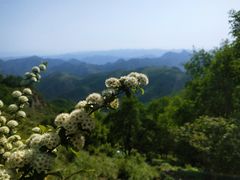 -北京灵山风景区