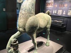 -广西壮族自治区博物馆