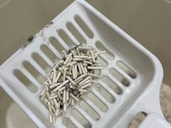 -瑞派康怡24h宠物医院·犬猫医疗中心·微创绝育(瑞景分院)