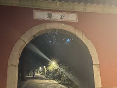 -灵谷景区