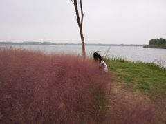 -南湖湿地公园
