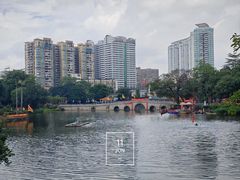-荔湾湖公园
