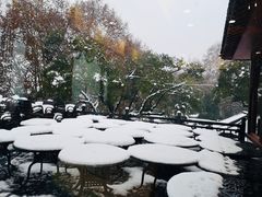 景观位-楼外楼(西湖景区孤山路店)