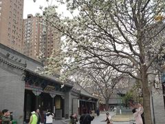 -护国法轮寺