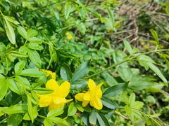 -敬亭山风景名胜区