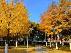 -西北湖绿化广场