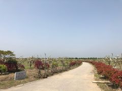 -南湖湿地公园