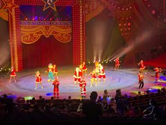 -珠海横琴长隆《卡卡虎奇遇记》