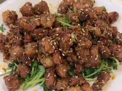 孜然羊肉-京天红酒家(虎坊路店)
