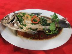 -先鲜鲫鱼粥
