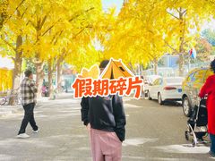 -三里屯东五街银杏大道