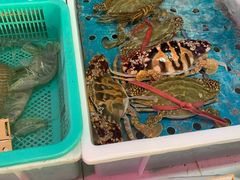 -海儀美食楼(湾仔海鲜街店)