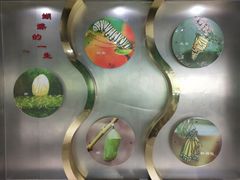 -上海昆虫博物馆