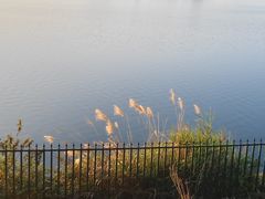 -长沙黑麋峰国家森林公园