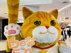 -凯德广场(学府店)