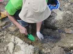 -坝光海滩