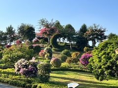 -东莞植物园