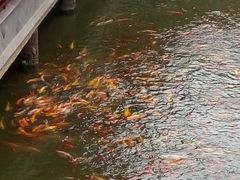 -龙潭水乡