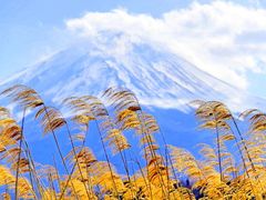 -富士山吉田線五合目