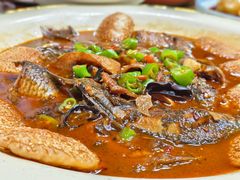 -张鸟园农家乐(张鸟园店)