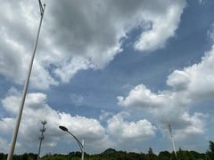 -滇香肴·云南菜蒸汽石锅鱼(云南北路店)